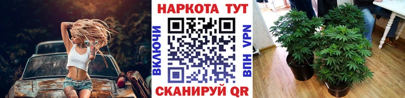 Героин Балтийск