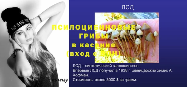 apvp Корсаков