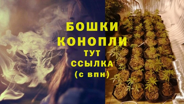 спиды Костерёво