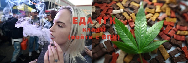 твердый Козельск